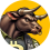 BTC Bull Token